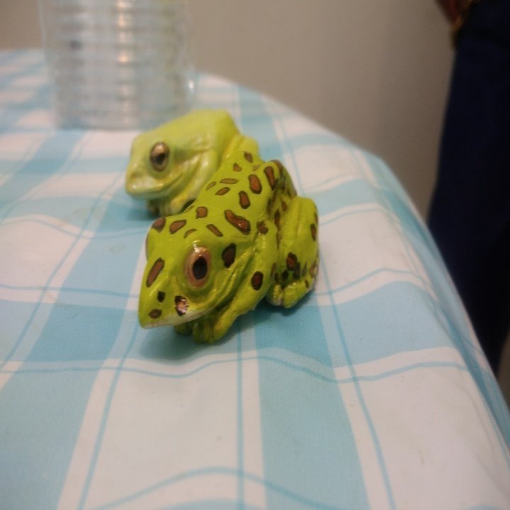 晴れのちカエル展 開催中です むかで屋books Note