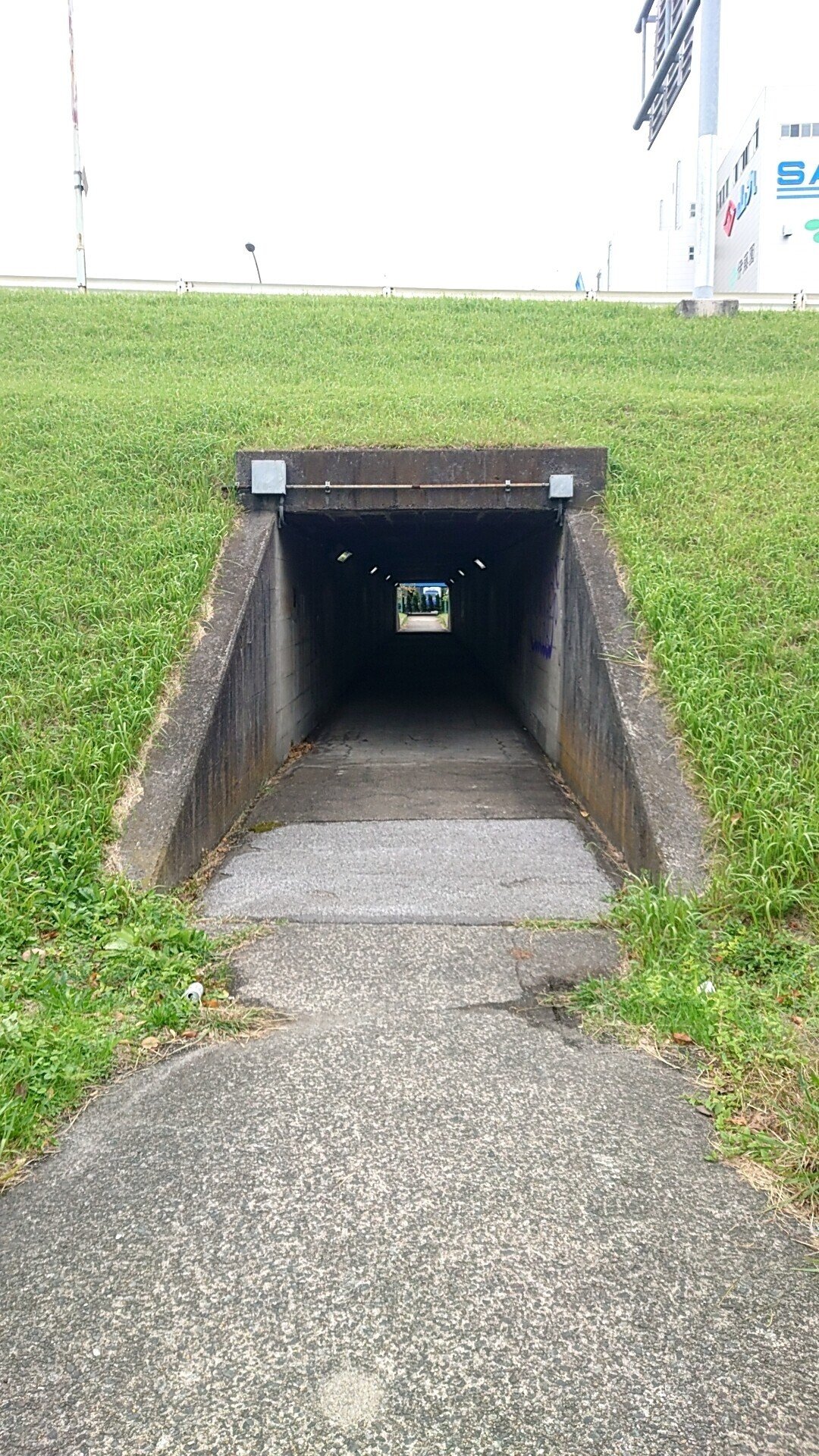 入口でもあり出口でもある｜しろいとり