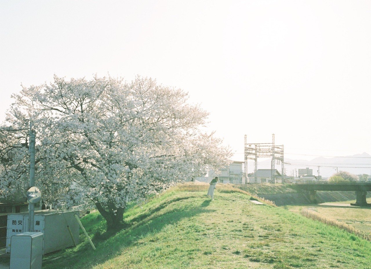 いつもの土手道 林 謙助 Note