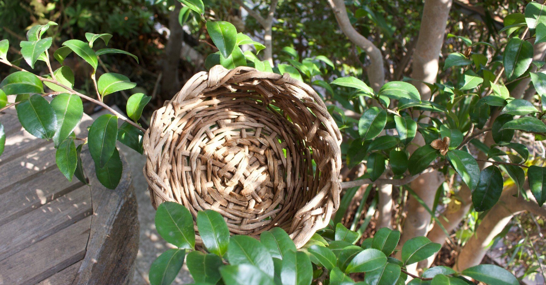 e3e9ace45e9f2e2f43da286915f7e9