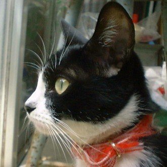 Hikichin(島根県松江市)