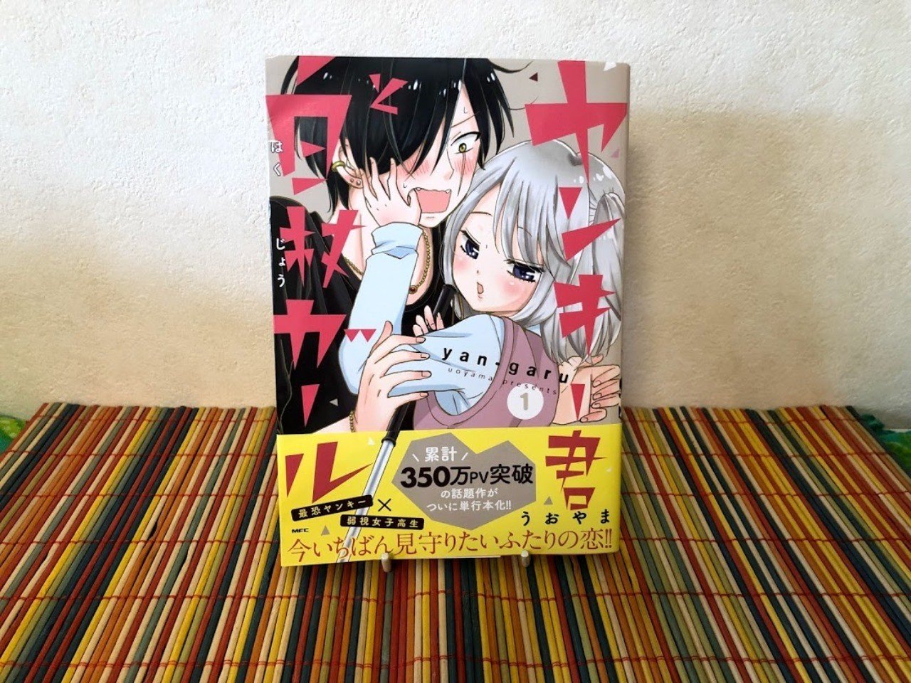 弱視 ロービジョン の女子高生とのラブコメまんが ヤンキー君と白杖ガール 井上エリコ 福祉ライター Note 弱視 ロービジョン の女子高生とのラブコメまんが ヤンキー君と白杖ガール 井上エリコ 福祉ライター Note