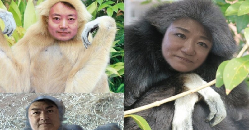 日本の動物園が輸入できる類人猿=チンパンジーとシロテギボンが限界説!