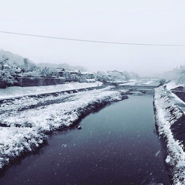 元旦から降り始めた雪が、京都の街を白く染めました。雪化粧から始まった2015年。