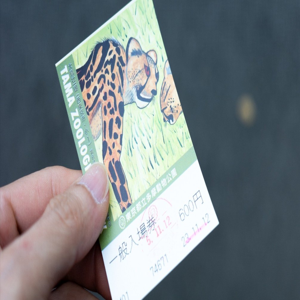 多摩動物公園アフリカフェア｜sada