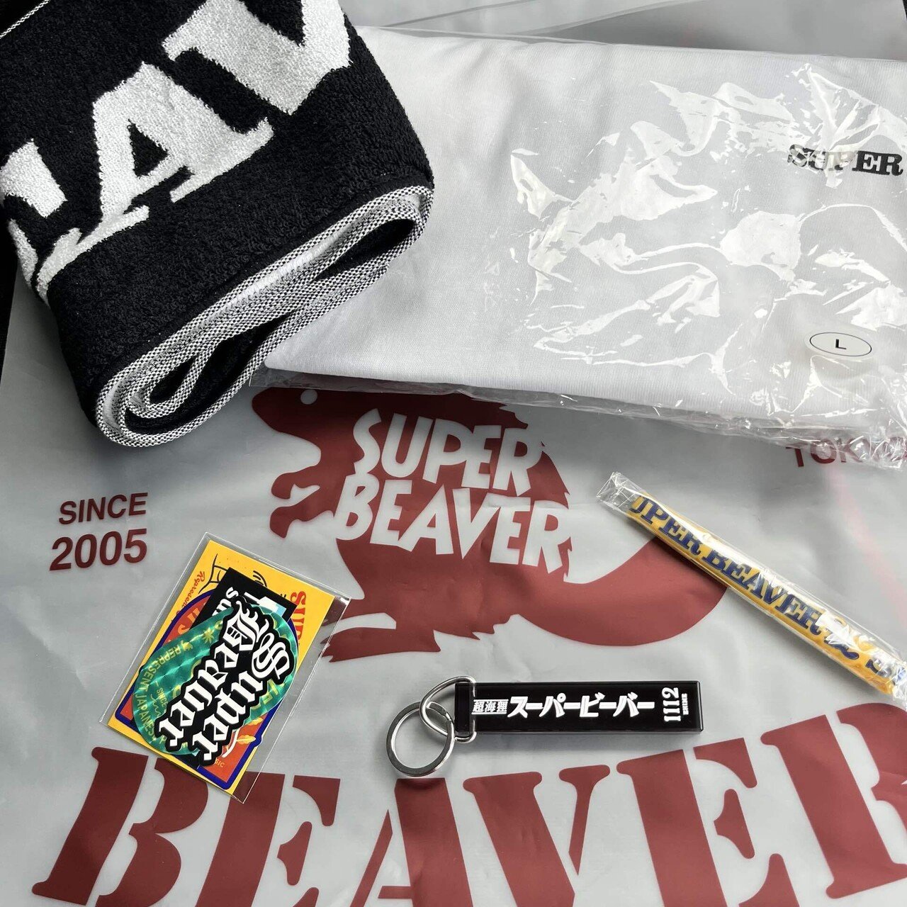 ネタバレあり】SUPER BEAVER『駱駝革命 21』@愛媛|LEO ネタバレあり】SUPER BEAVER『駱駝革命 21』@愛媛|LEO