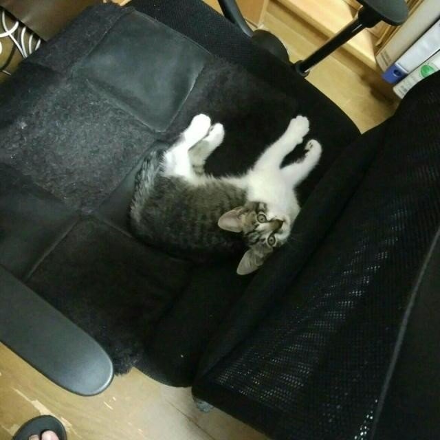画像