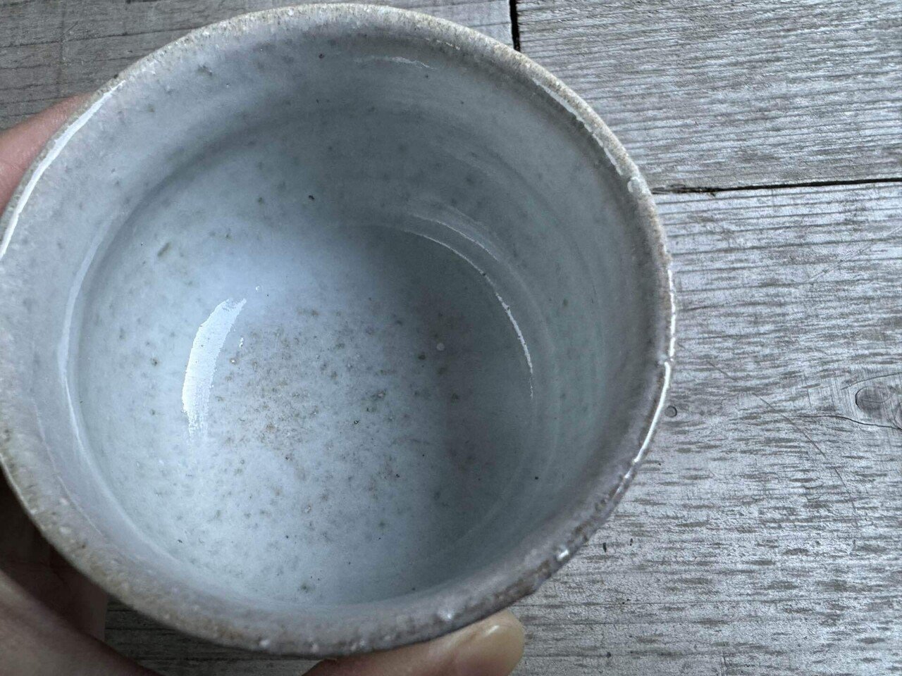 なにかがついたお皿 これは何？？｜keishuugama2127