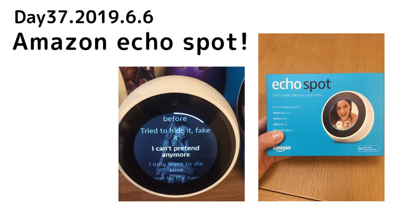 Day37.echo spotがきた！