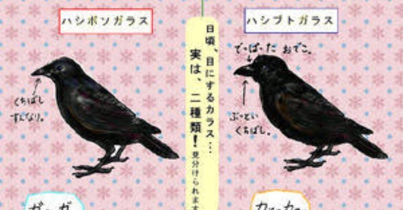 第279回 カラスと野鳥たちの闘い ハシブトガラス ハシボソガラス共に8回目 翆野 大地 Note 第279回 カラスと野鳥たちの闘い ハシブトガラス ハシボソガラス共に8回目 翆野 大地 Note