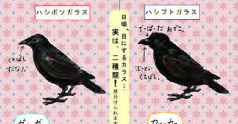 第279回 カラスと野鳥たちの闘い(ハシブトガラス、ハシボソガラス共に8回目)