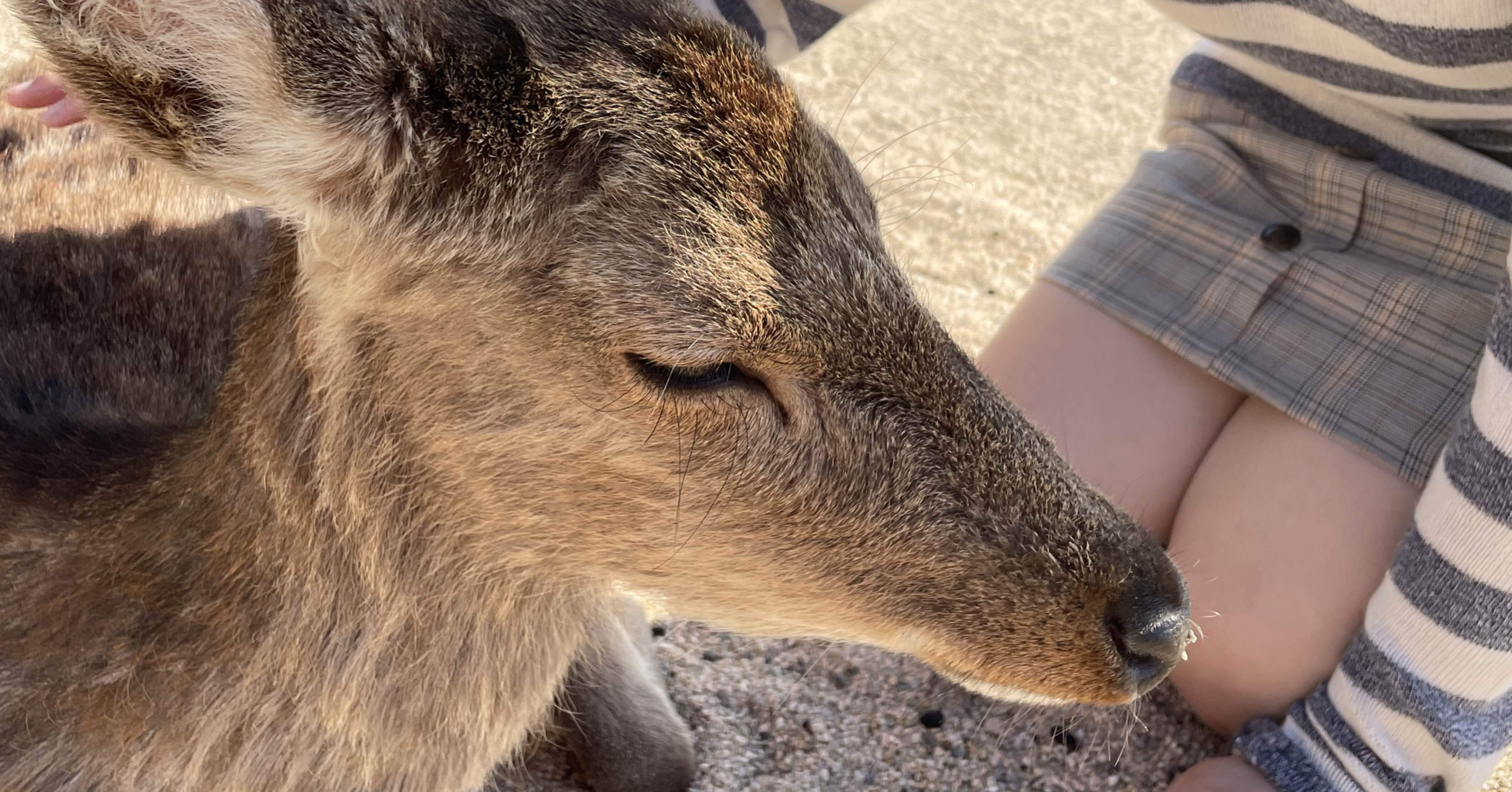 eebb65d672b5d9fc8c68d723558753