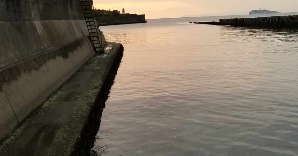 ひきこもりとは何か 2 無職とひきこもりの違い 最高の人生にする学び Note