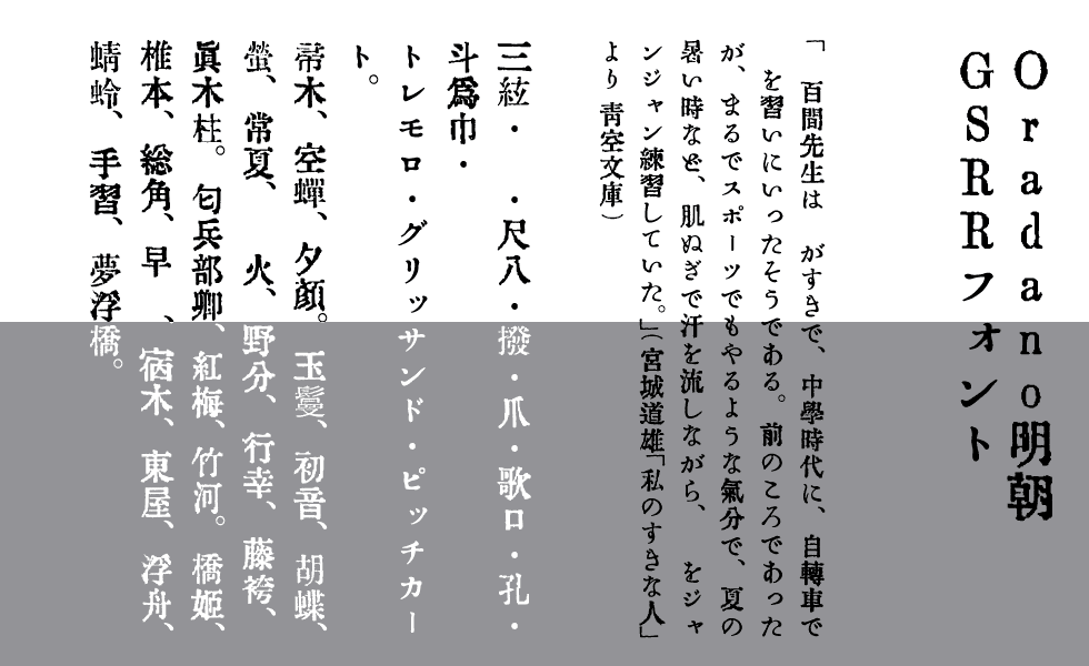 活字 新旧1号 ひらがな カタカナ ゴシック体 太字 細字