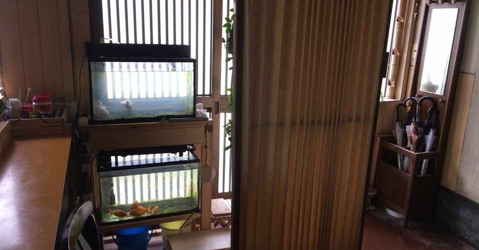 あの夏の昼寝の時間 Kisetsuのてがみ Note