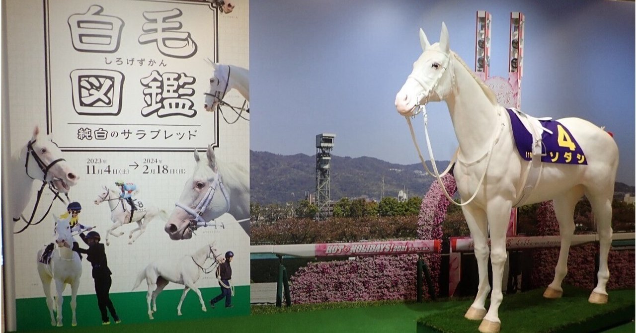 サラブレッドの生物学』がJRA競馬博物館でも展示~|NTS Journal サラブレッドの生物学』がJRA競馬博物館でも展示~|NTS Journal