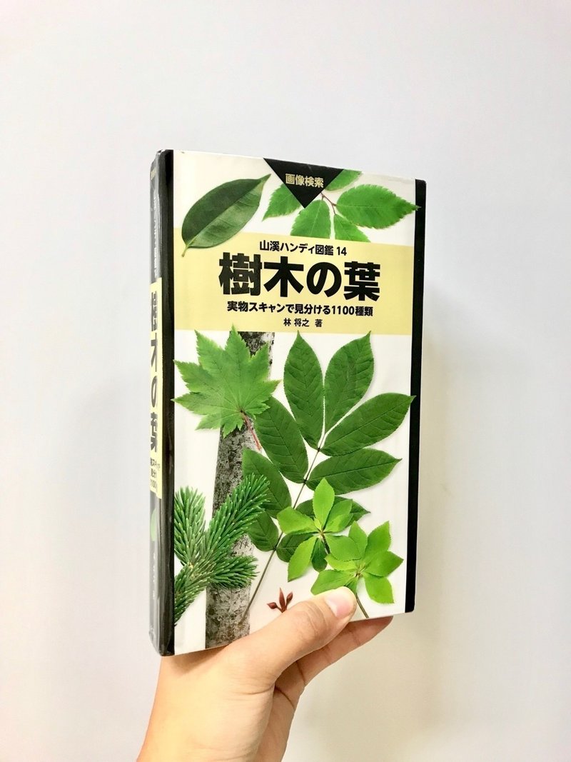 この木なんの木 身近な植物を見分ける 木本編 南風嶋娘 Note この木なんの木 身近な植物を見分ける 木本編 南風嶋娘 Note
