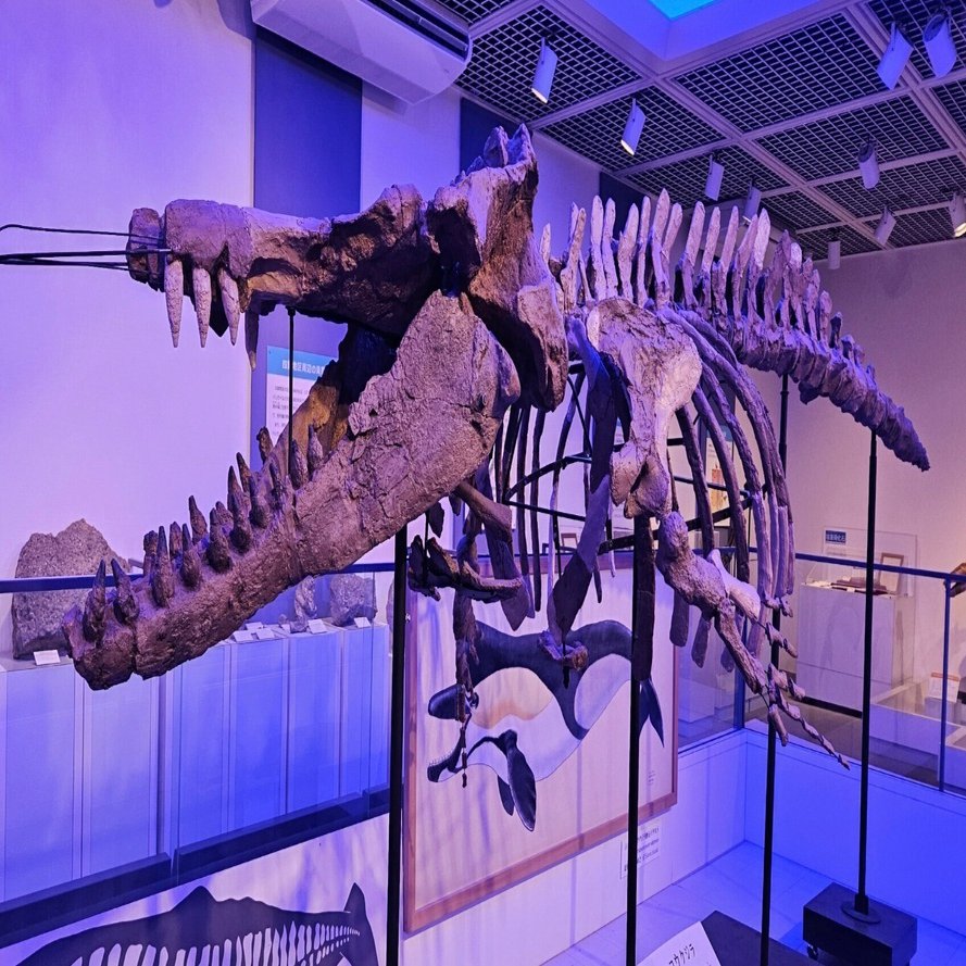 全国自然博物館の旅【9】松本市四賀化石館｜美原さつき