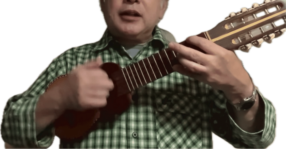 チャランゴ　charango 民俗楽器　希少品　フォルクローレ　アンデス チャランゴ – アンデスの家ボリビア
