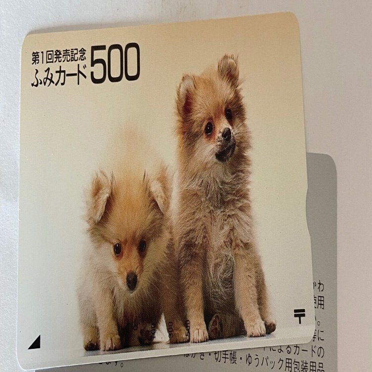 切手セット•ふみカード ふみカードって知っていますか？11月15日のタイムはこのカードで学びが