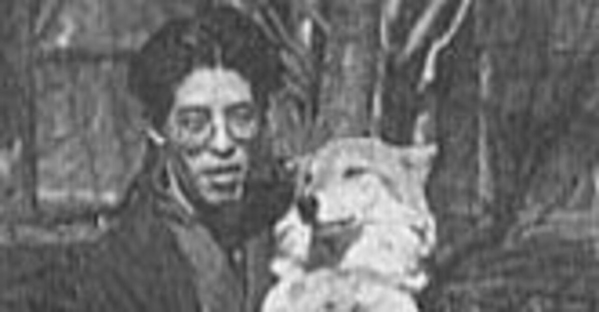 狼－その生態と歴史－ 平岩米吉著 狼 その生態と歴史(平岩米吉) / 古本、中古本、古書籍の通販は