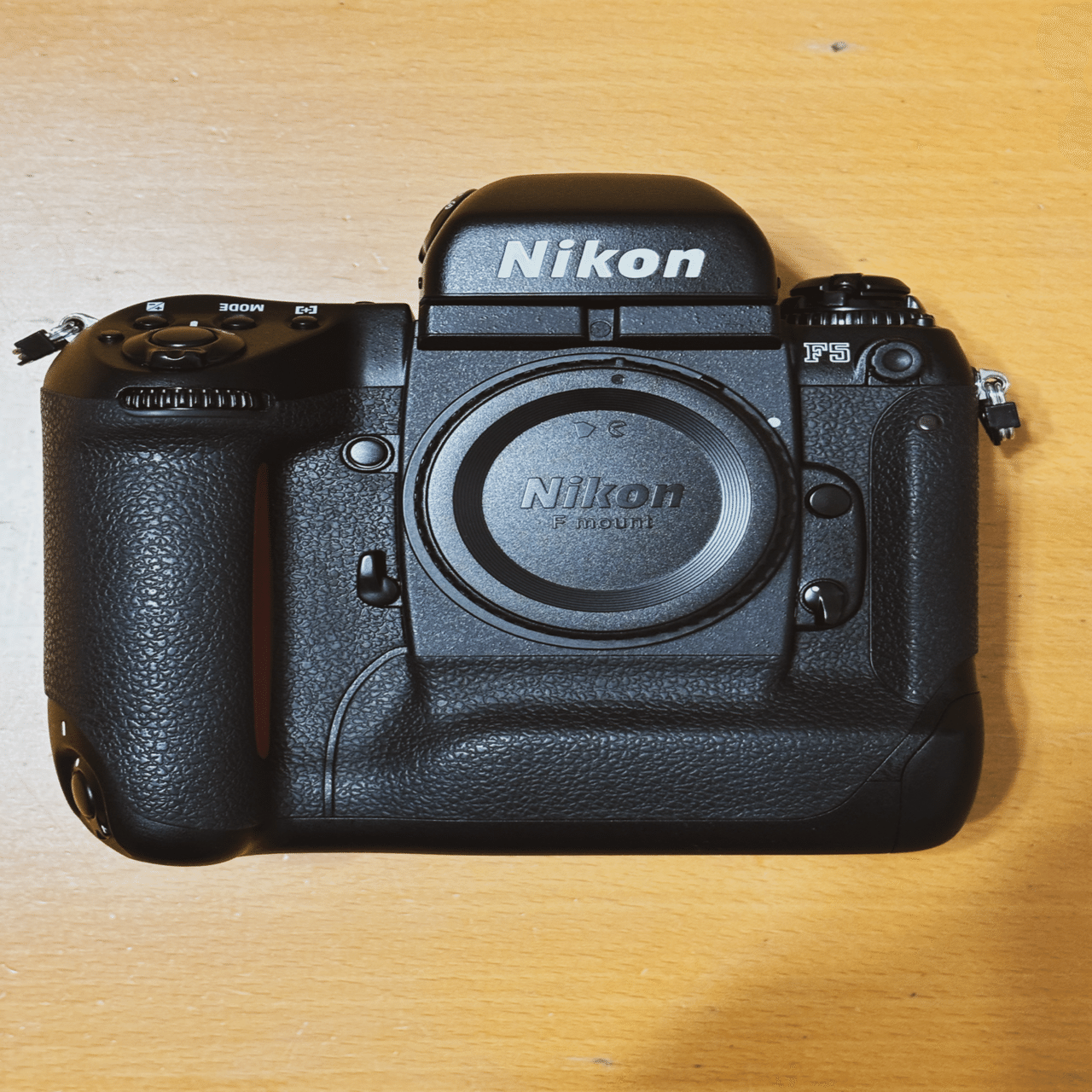 フィルムカメラ買いました！｜Alice_photolog