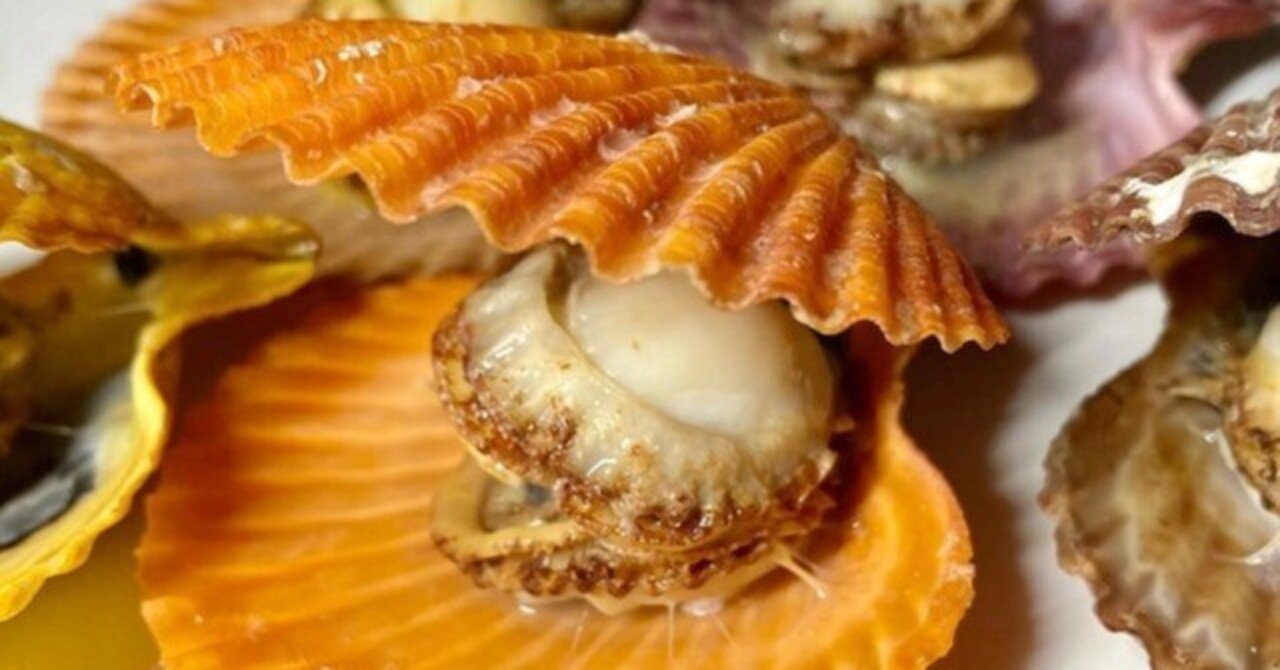 今が絶品！！貝の王さま 日向灘で水揚げされたヒオウギ貝、必見です