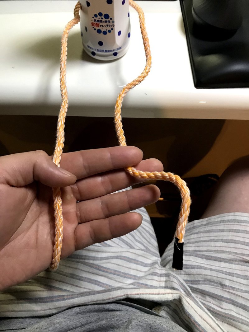 馬つなぎ結びと追い剝ぎ結び 津和野ヤモリーズ Note