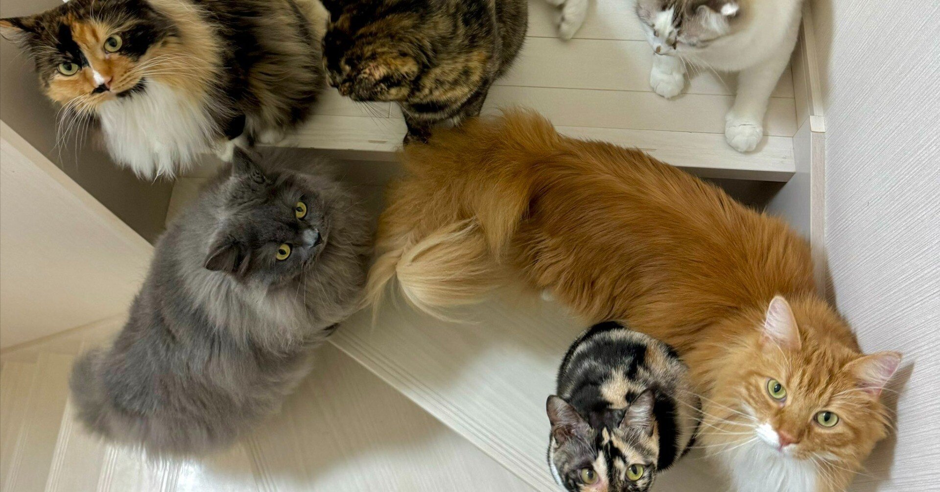 1204369ac9062805d6c31d0c8d2426