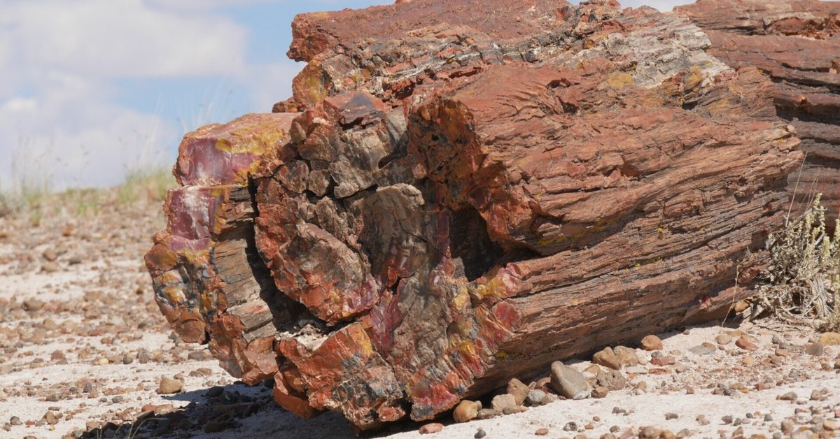 化石の森国立公園（Petrified Forest National Park