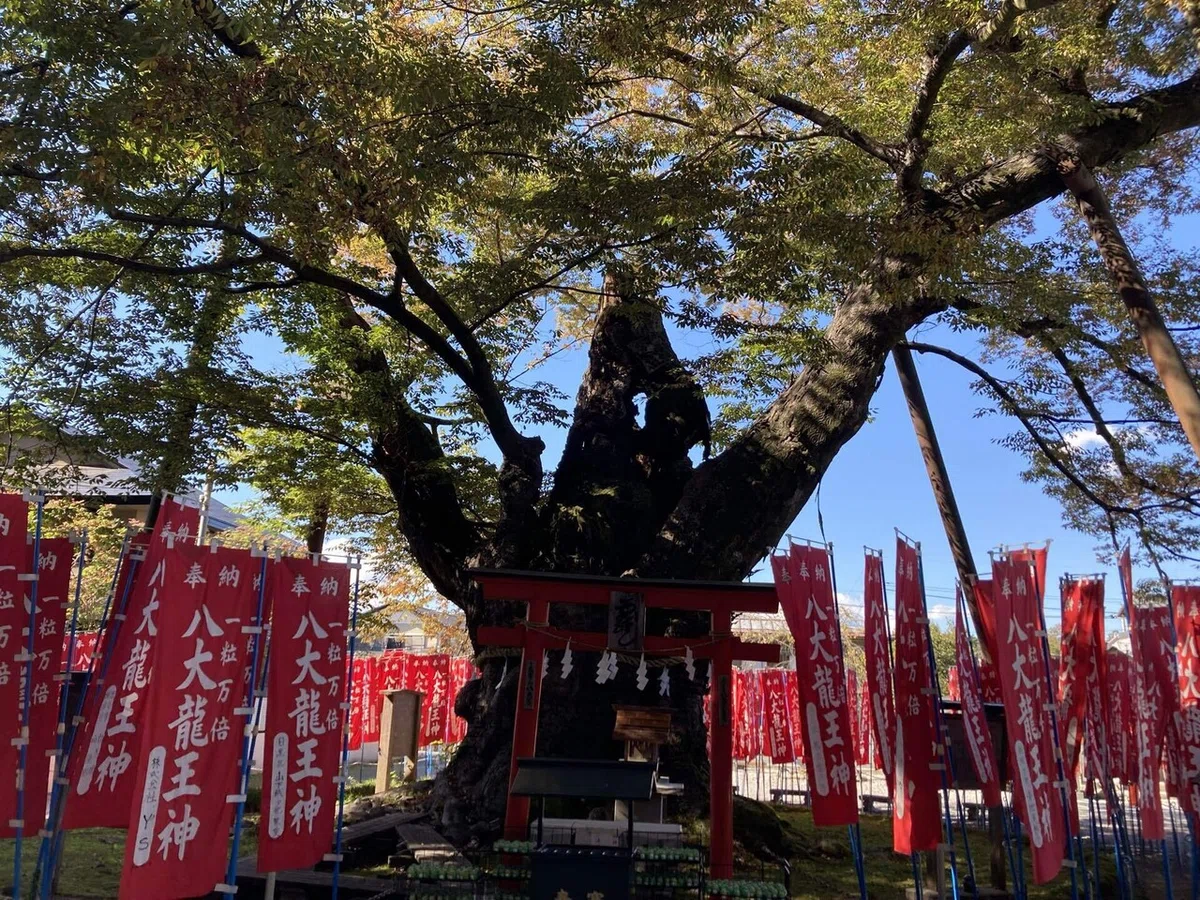 画像