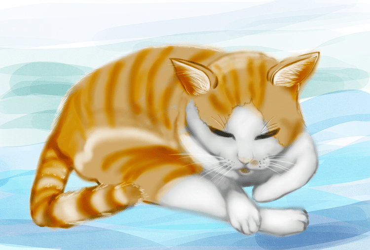 ポートフォリオ 動物キャラクター 猫 タジ Note