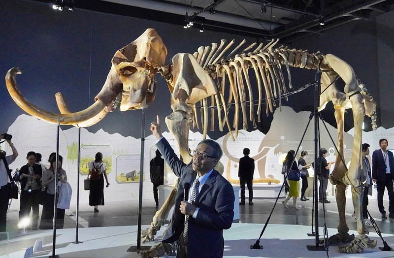 日本科学未来館 マンモス展 で見えるのは過去か それとも未来か しましょ 島田祥輔 Note