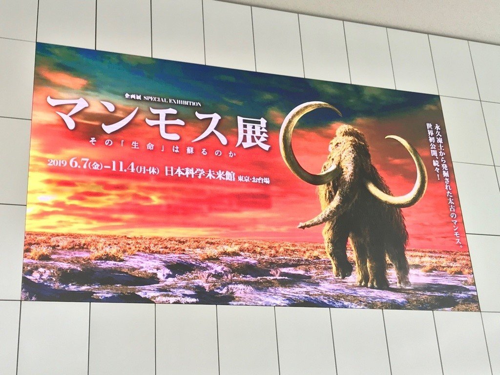 日本科学未来館 #マンモス展 で見えるのは過去か、それとも未来か