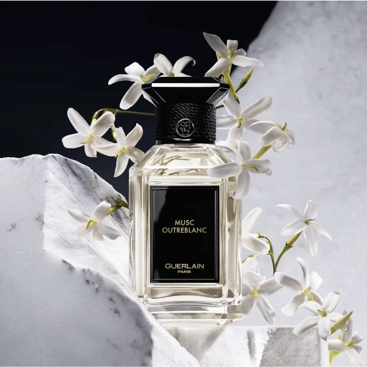 GUERLAIN ラール エ ラ マティエール コレクション フレッシュネス｜𝕃