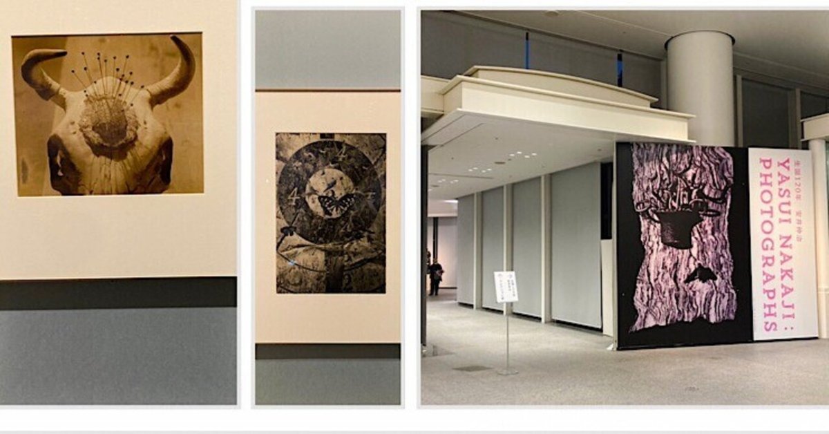 生誕120年 安井仲治展（名古屋市美術館・2023年11月
