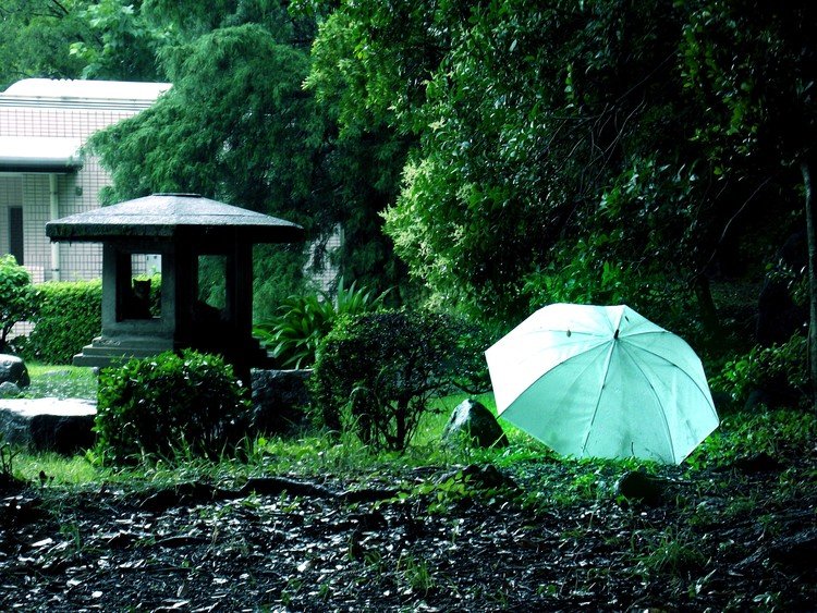 雨上がりの日

どこにでもある透明の傘

忘れたののに
雨の雫で輝いて見えた･･･
なんて      ファインダー越しの私の世界観