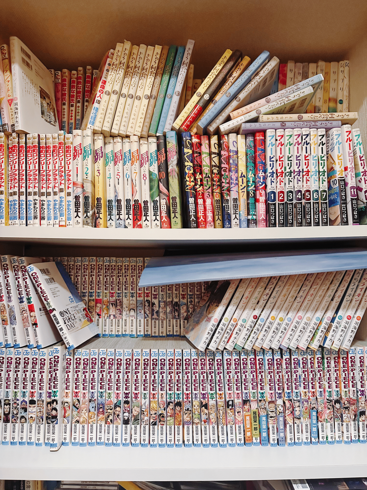 突然ですが、本棚晒してみる。｜猿荻レオン