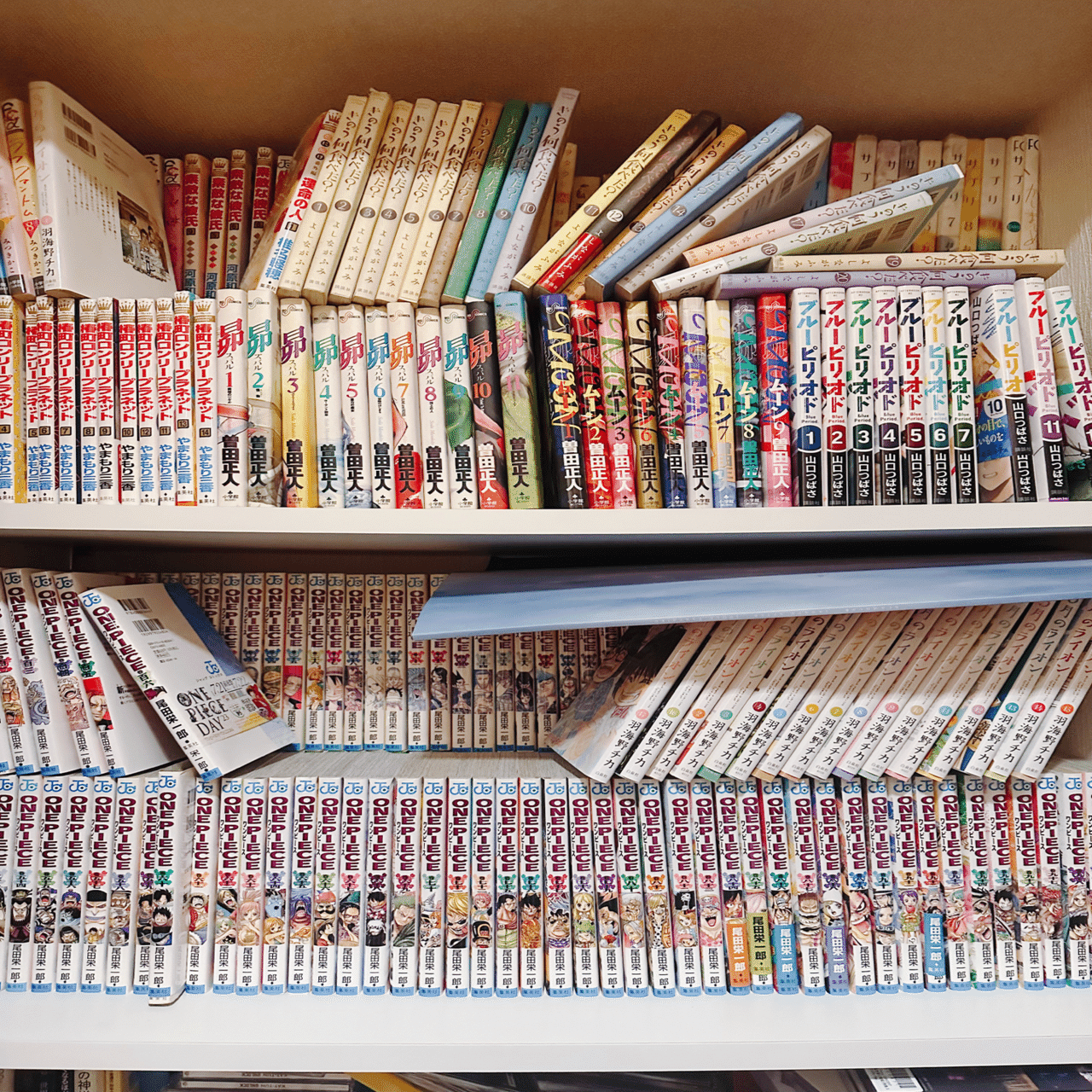 突然ですが、本棚晒してみる。｜猿荻レオン