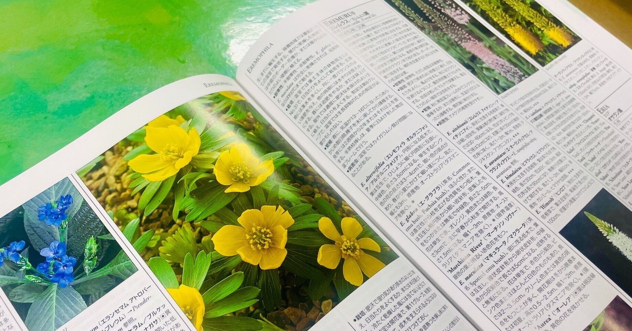 極美品 園芸植物大事典 全6巻 植栽家の日常】20231116 園芸家一生モノの必携本 3選|太田敦雄
