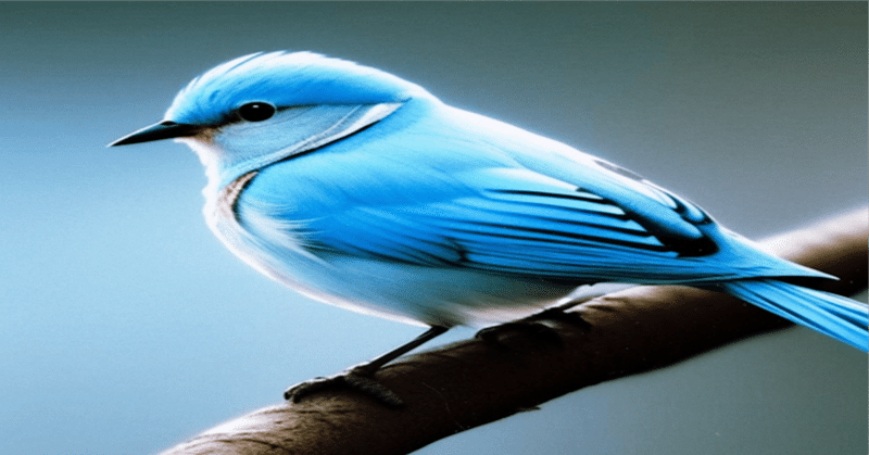 創作SS『幸福の青い鳥2023』#シロクマ文芸部