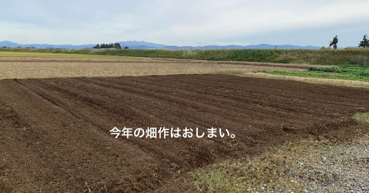2023年の畑作を振り返る。|農耕民