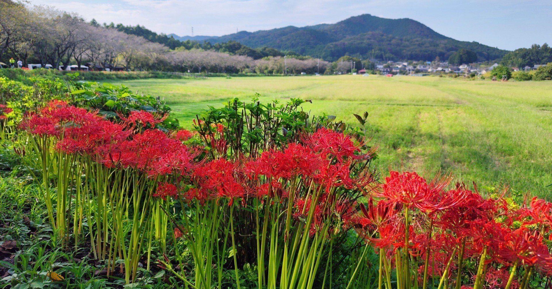 埼玉の日→翔んで埼玉2公開初日まで連続投稿チャレンジ】埼玉の観光