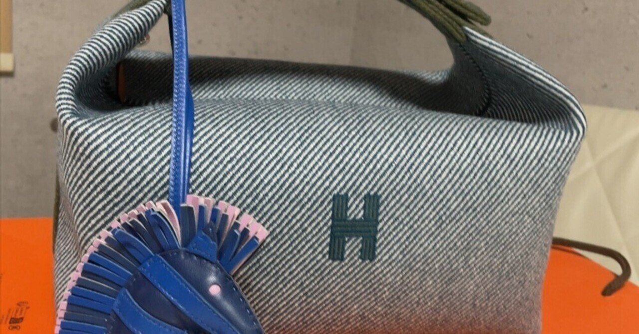 1年ぶりの再入荷】エルメスのポーチ ブリッドアブラック PMとGM比較