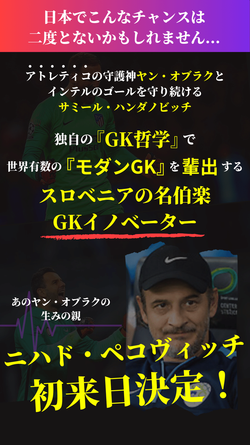 緊急速報 ヤン オブラクを育てたgkイノベーションを日本で学べる ニハド ペイコヴィッチ 初来日決定 Rg Gk Gloves Japan 公式 Note