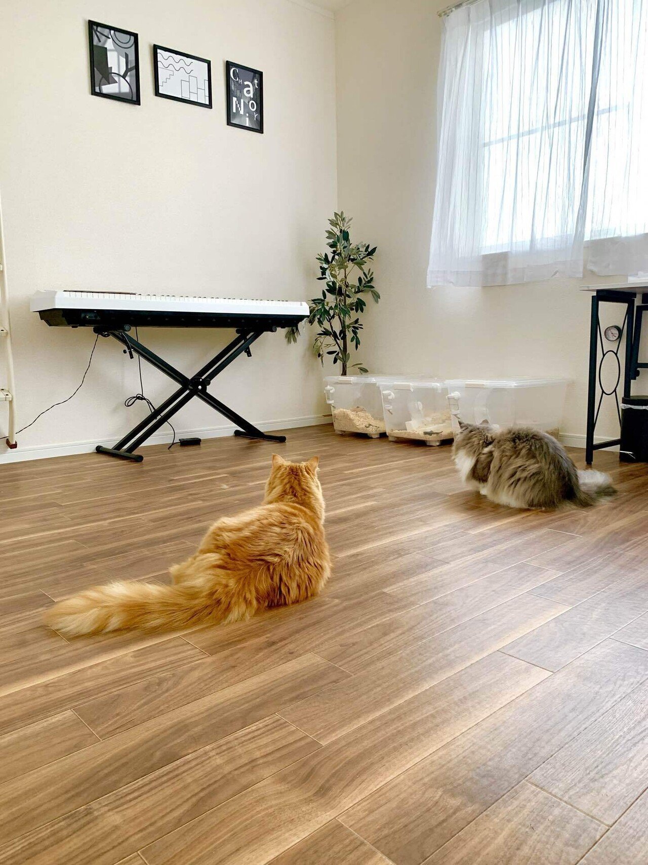 断捨離を始めたきっかけ《悲しい現実》切迫した状況からの3つの理由