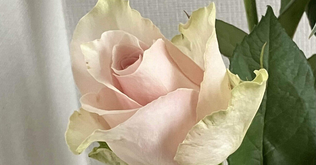 詩］薔薇 第709幕｜空（くう）
