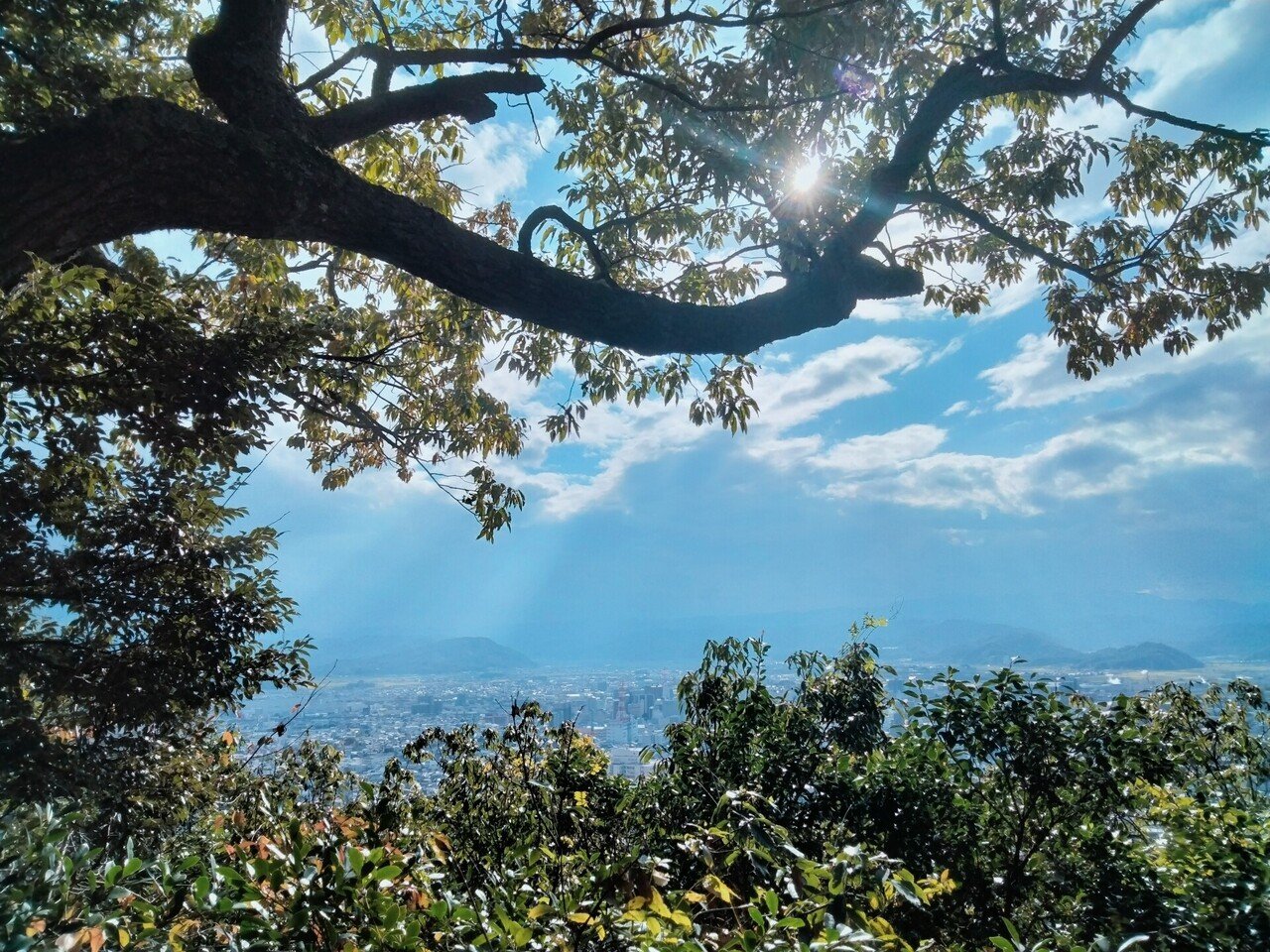 有害な行動を行動の結果から分離する