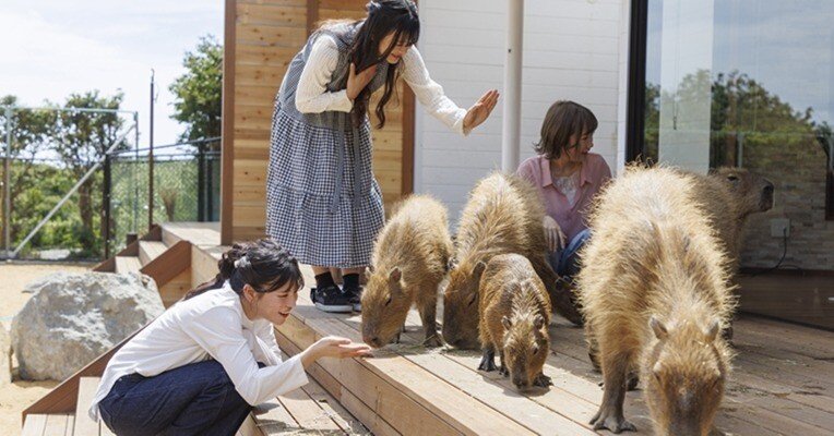 90b6406991fc93cb49cb492a89a344