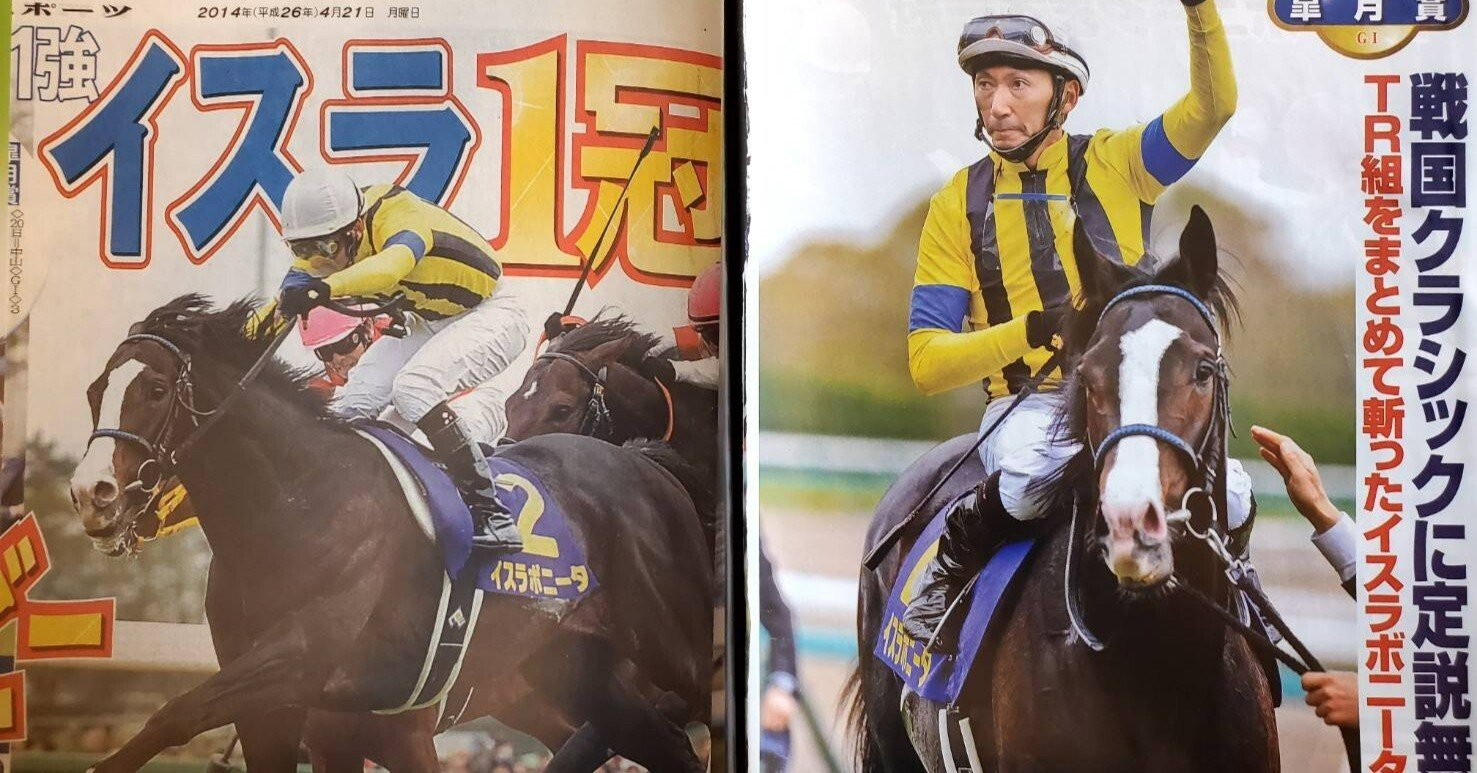 俺のポニータ Pokemon OR ポケモン) GO ポニータ ガラルのすがた